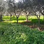 Bed and Breakfast Sunset Cinisi