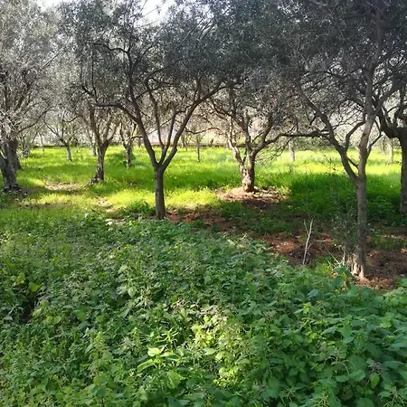 ベッド・アンド・ブレックファスト Sunset チーニジ