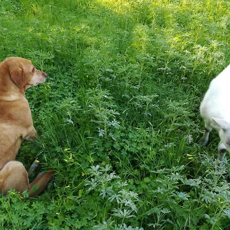 Sunset Bed & Breakfast Cinisi