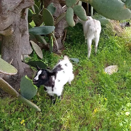 Sunset Frühstückspension Cinisi